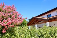 Tenuta Tommasi - Relais Bacco - B&B Caorle