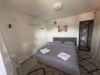 Casa Rustica Cernica - B&B Cernica