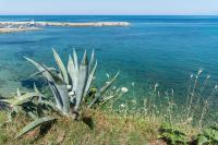 B&B La Magnolia - B&B Castellabate