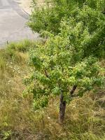 FeWo - EG Apartment Mosel- & Weinquartier, Terrasse, Parkplatz, moderne Küche bis 4 Personen - Chambres d’hôtes Piesport