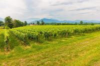 Casa Vacanza Nichy - Bed and Breakfast Adro