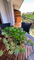 Apartmani Bonaca - B&B Pakoštane