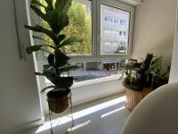 Piso moderno y céntrico dos salones - Bed and Breakfast Santiago de Compostela