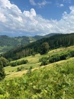 Анничка - Bed and Breakfast Khorotseve