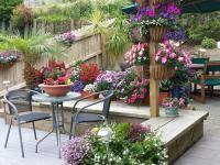 Deluxe King Room with Courtyard Access