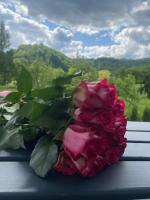 Yaremchuk lodge - Bed and Breakfast Tiudiv