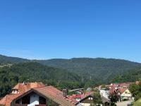 Black Forest, relaxation, YOUR place! - B&B Forbach