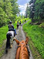 The Marmot's Den - B&B Sun Peaks