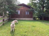 Cottage by the Ponds - Bed and Breakfast Krasňany