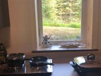 LAKE FRONT fishing between Kasilof & Kenai river - B&B Soldotna