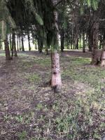 Apartamentos MyM - Ferienwohnung Jaca