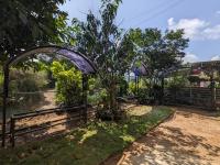 Navoda Gest - B&B Welimada