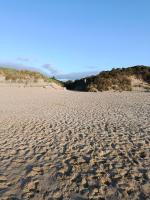 The Feathered Nest Apartment at The Cracked Hen - B&B Gorey