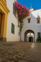 Un Tesoro en el Corazón de Cordoba & Free Parking - B&B Cordova