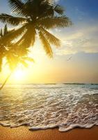 Sun land Villa - B&B Hikkaduwa