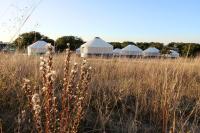 Johnny Yurts - The Lavender - B&B Johnson City