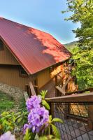 Glimpse of Bearadise - Ferienwohnung Gatlinburg