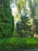Святая Елена - B&B Sunny Beach