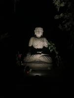 Wana house wanagiri - B&B Gitgit