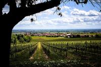 Tolle Wohnung für 5 Personen - B&B Hackenheim