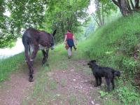 Meiro di Choco - Bed and Breakfast Pradleves