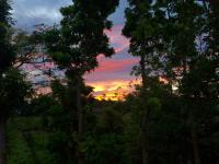 HomeSweetHome - B&B Hang Dong