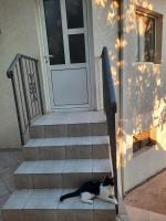 Милый гостевой апартамент - B&B Antivari