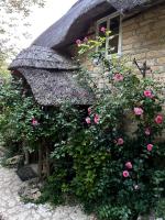 Thatched Cottage 2 Bed 2 Bath in Stour Provost near Shaftesbury and Longleat - Chambres d'hôtes Stour Provost