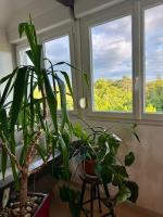 Loft vintage - spacieux 155 m2 - 4 chambres - Parking, Netflix, Wifi Fibre - Chambres d'hôtes Mulhouse