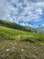 Le petit orgentil - B&B Valmorel