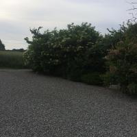 Thorupgaard Farm Holiday - Ferienwohnung