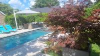 PINE COTTAGE- 5 minutes Francorchamps - charme -piscine-calme-jardin - B&B Le Sart