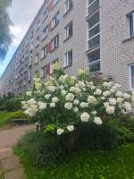 Atpūta pie Zilajiem kalniem - B&B Ogre