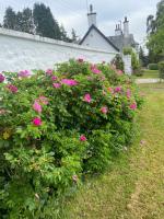 Fordie South Cottage - B&B Comrie
