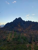 Lofoten- Feriehus Fjøsen - B&B Ørsvåg
