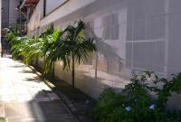 Los Angeles - B&B Porto de Galinhas