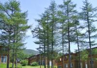 蔵王ライザウッディロッジ - B&B Kaminoyama