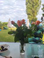 Vízparti apartmanok - Ferienwohnung Szántód