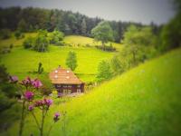 Ferienwohnung Teich 11, 126qm - Ferienwohnung Gütenbach