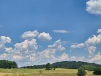 Waldblick-Nest - B&B