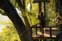Karongwe River Lodge - B&B Hoedspruit