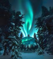 SKOG - Aurora Igloos Resort - B&B Kalix