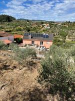 Gabriela Olival turismo - B&B Santo Aleixo