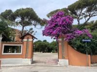Casa Del Borgo - Midi - Primo Piano - B&B Civitavecchia