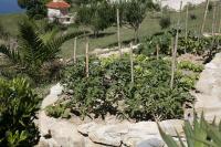 Apartments Roza - B&B Miškovići