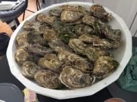 La Plage en Normandie - B&B Pourville-sur-Mer