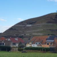 Ferienwohnung in Durbach- Urlaub am Weinberg - Ferienwohnung Durbach