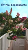 Le Goyavier - Bed and Breakfast Saint-Pierre