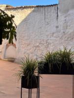 Adelaide in collina, cozy home - B&B Volta Mantovana