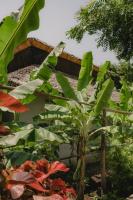 Appartamento con Vista Giardino